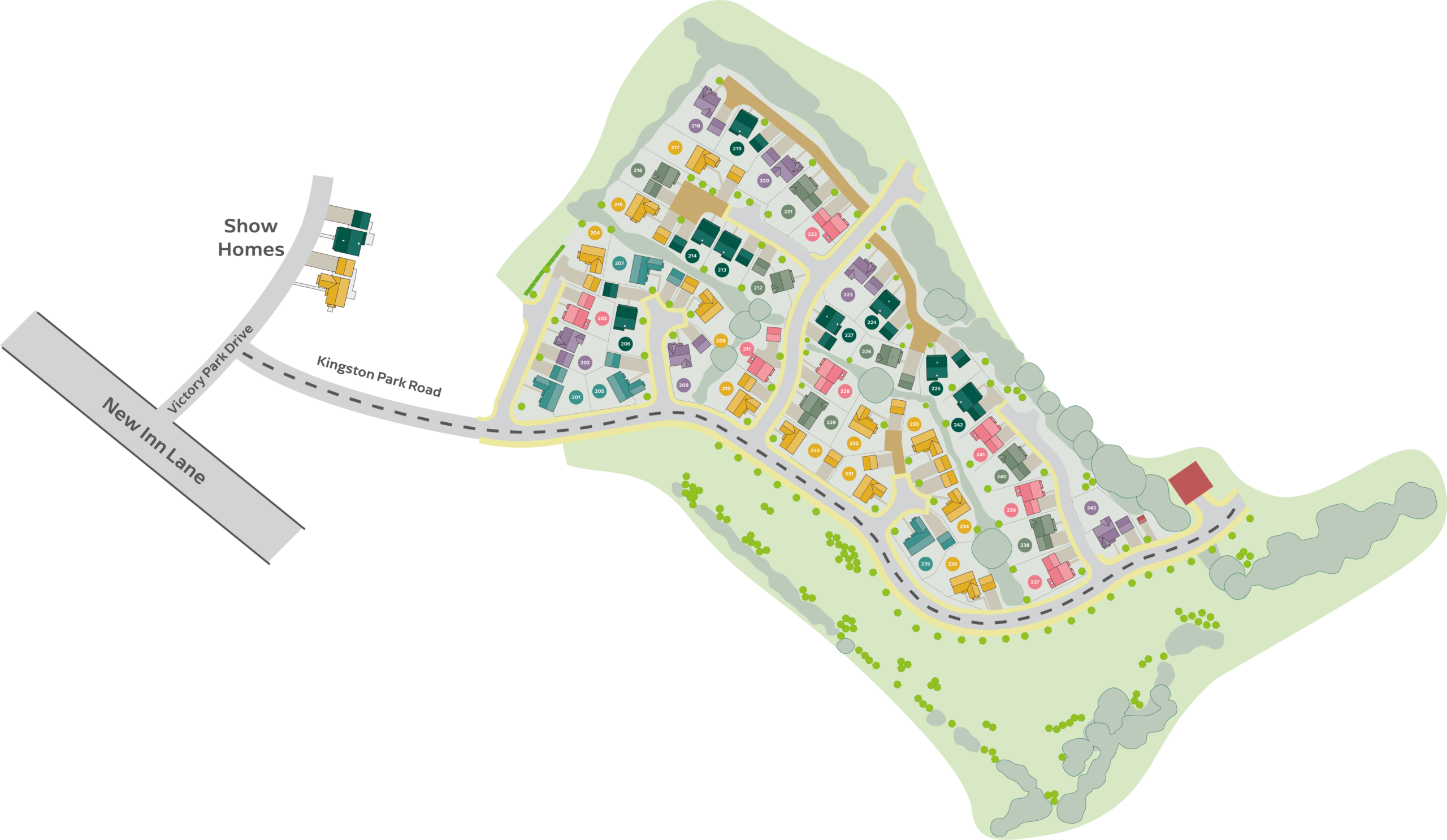 The Development 