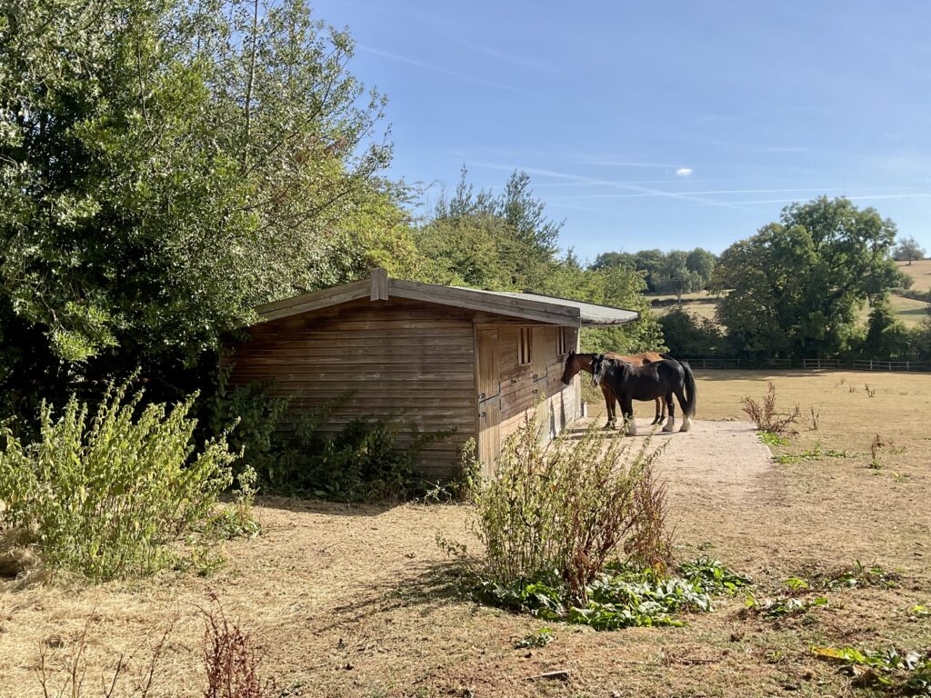 Coton, Milwich, ST18