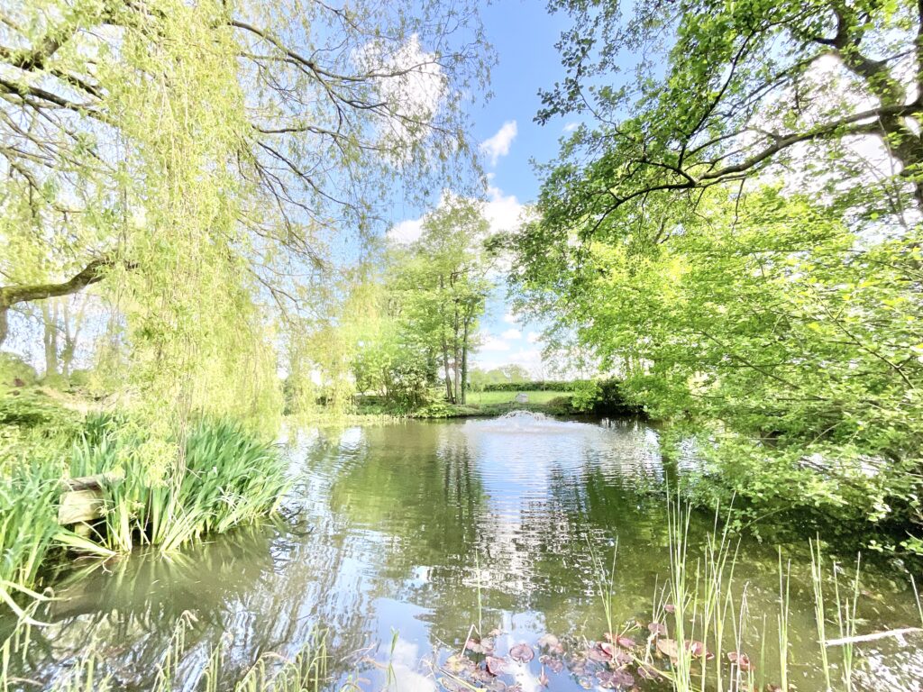 Lockley Wood, Market Drayton, TF9