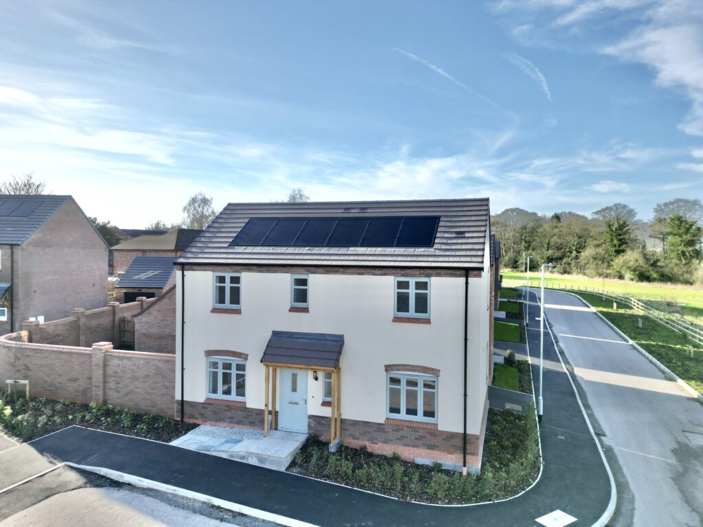 Castle Meadows, Castle Street, ST21