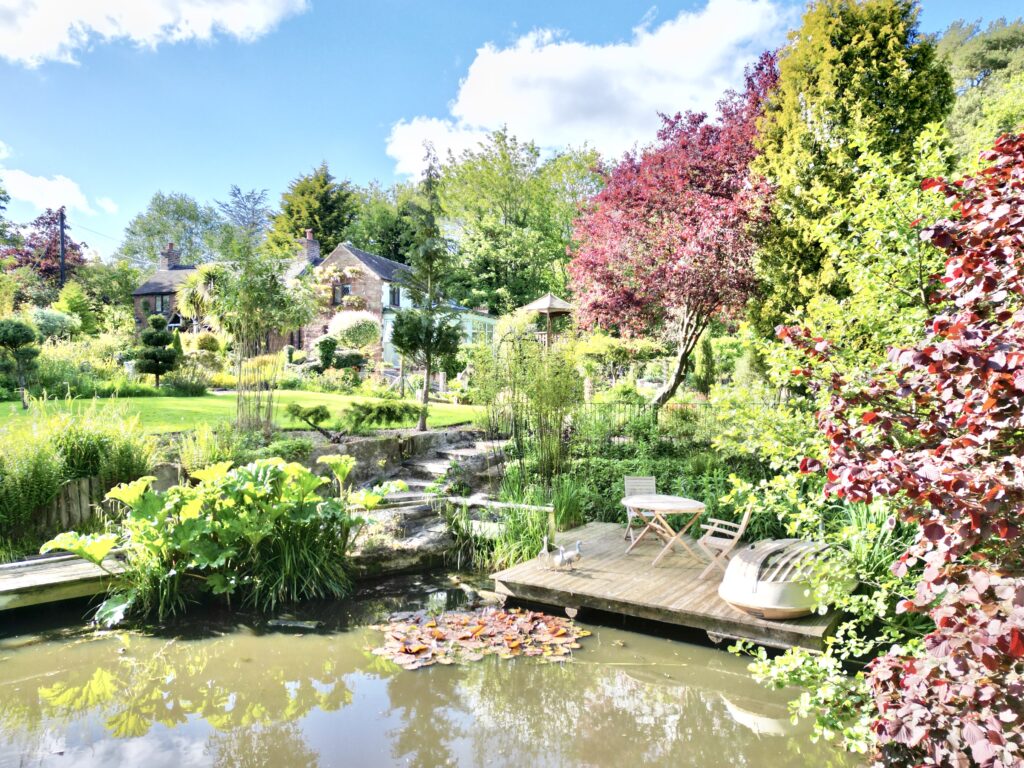 Lockley Wood, Market Drayton, TF9