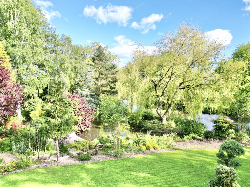 Lockley Wood, Market Drayton, TF9