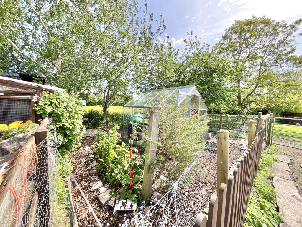 Lockley Wood, Market Drayton, TF9