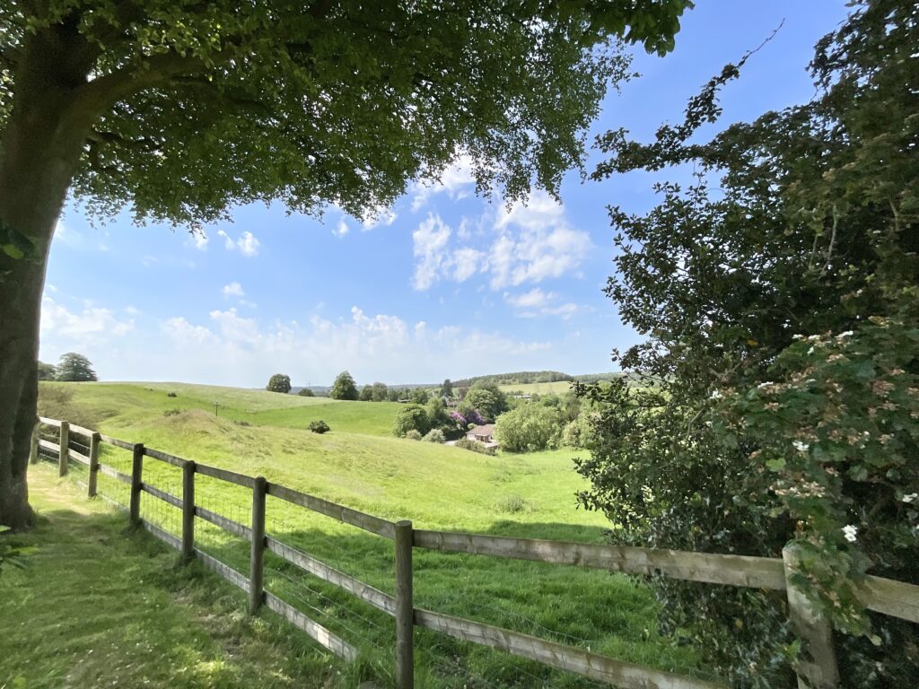 The Common, Dilhorne, ST10