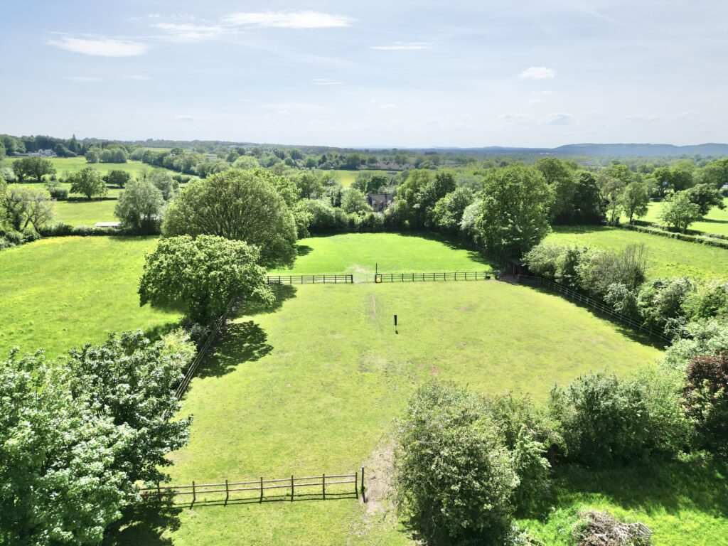 Lockley Wood, Market Drayton, TF9