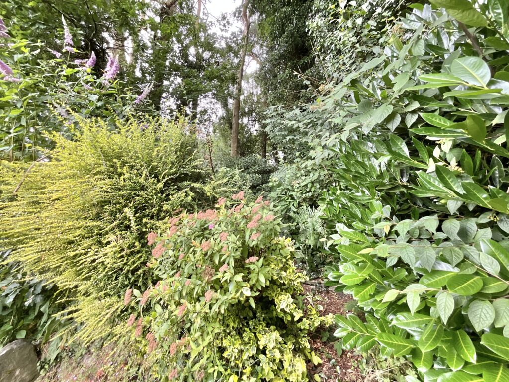 Foxt Road, Foxt, ST10