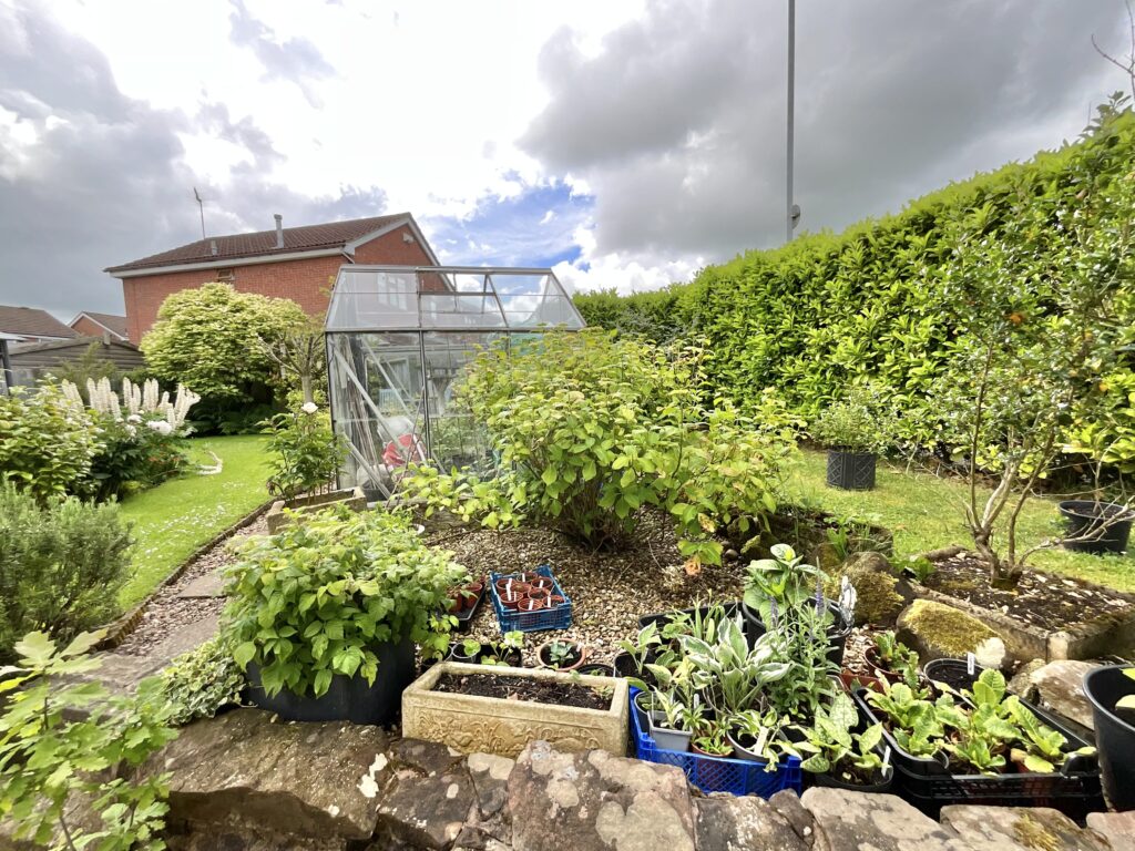Linhope Grove, Stoke-On-Trent, ST3