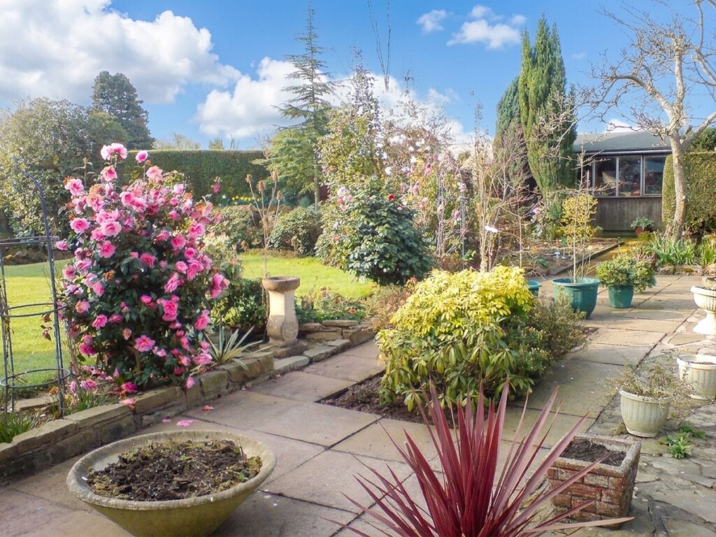 Sneyd Avenue, Newcastle, ST5