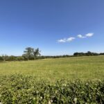 Stallington Road, Blythe Bridge, ST11