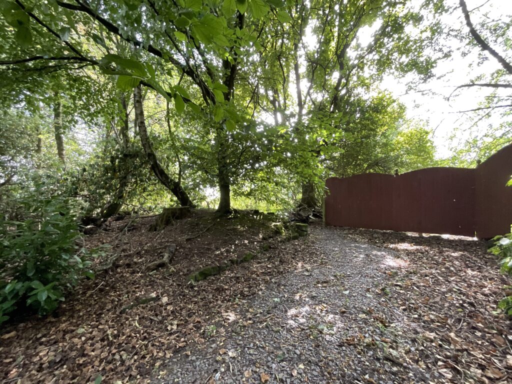 Nightingale Walk, Blythe Bridge, ST11