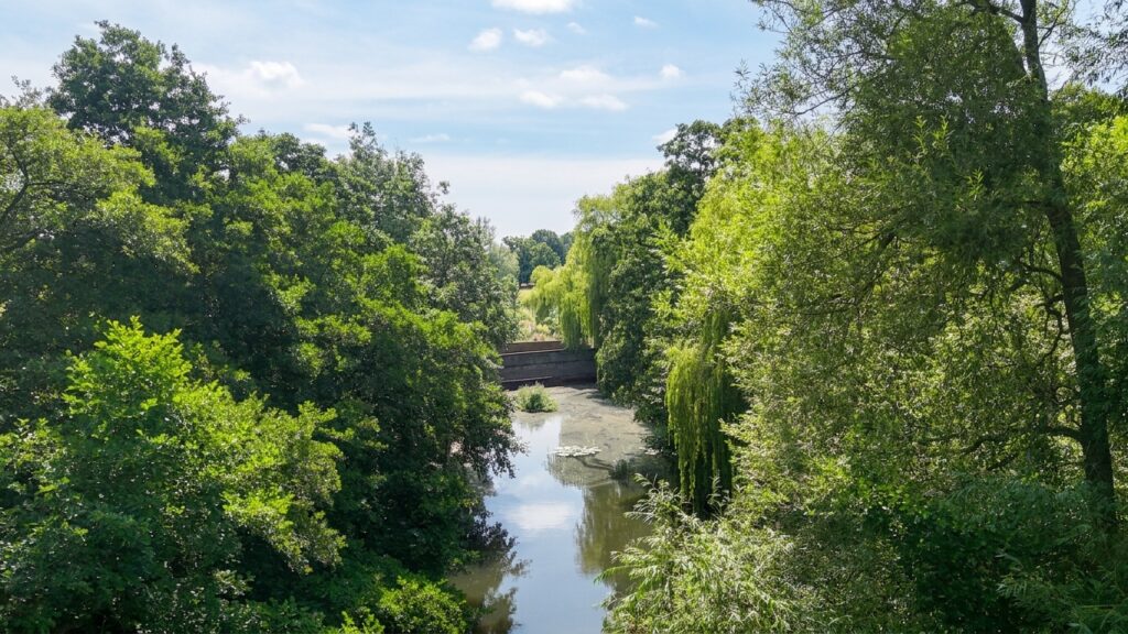 Muse Grove, Barlaston, ST12