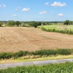 William Brereton Way, Henhull, CW5